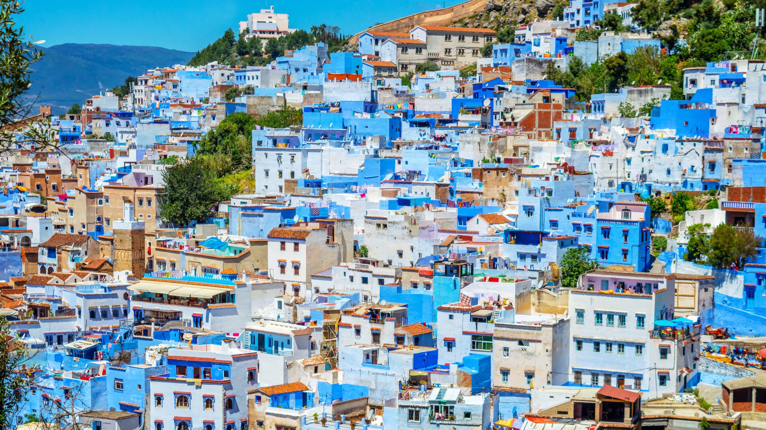 Vibrant streets of Chefchaouen Medina, Morocco, showcasing blue-washed buildings and traditional architecture in this charming historic town.