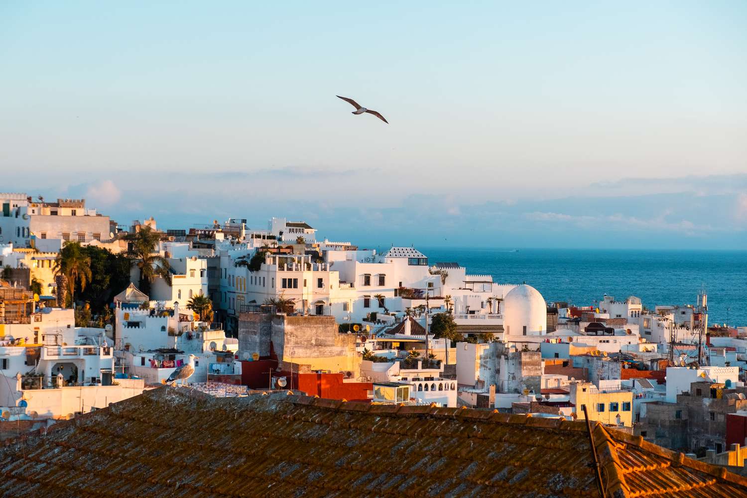 Discover the captivating beauty of Tangier's historic Medina as the soft hues of dawn illuminate its timeless charm.