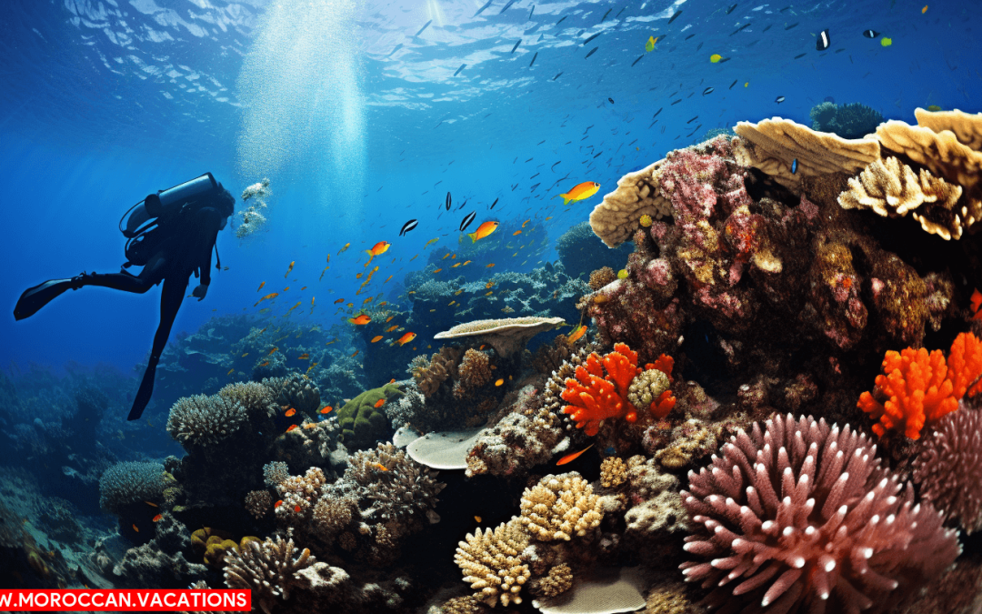 From Colorful Coral Reefs to Shipwrecks: Unforgettable Diving Experiences in Morocco