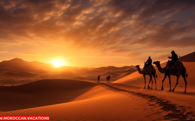 From Dunes to Nomadic Culture: Immersing Yourself in Erg Chebbi’s Camel Trekking