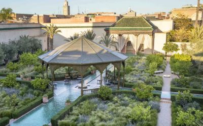 A Photographer's Delight: Capturing the Beauty of Marrakesh's Gardens
