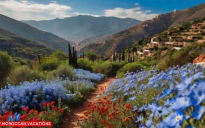 Blooms and Blossoms: Exploring Wildflowers on Hiking Trails in Chefchaouen