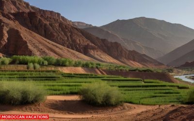 Preserving Paradise: Nature Conservation Initiatives in Dades Valley